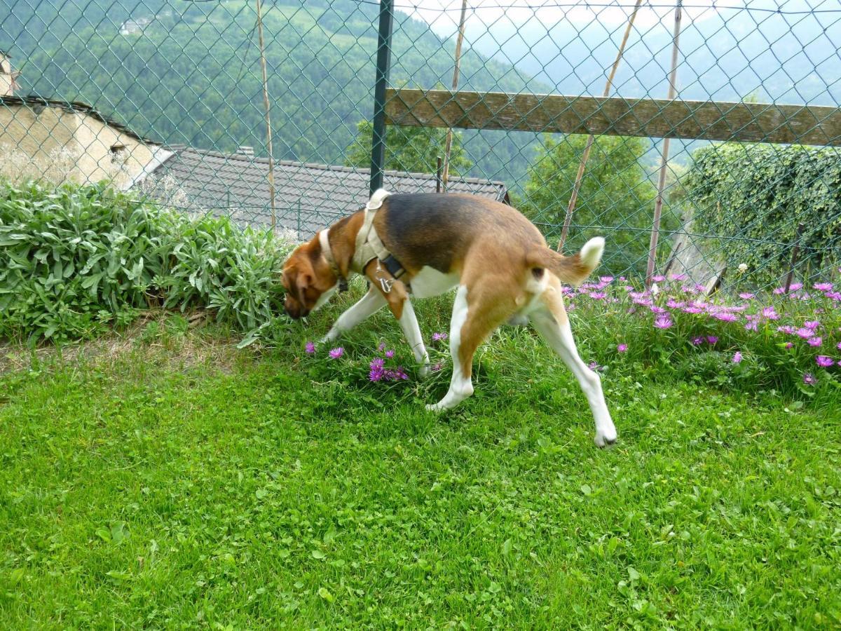 La Buneta Macra Bagian luar foto
